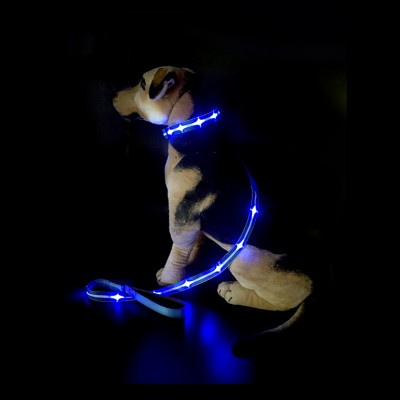 USB Rechargeable Night Safety Fashion Light UP Collar Glowing Pet Dog leash for Small Medium Large Dog